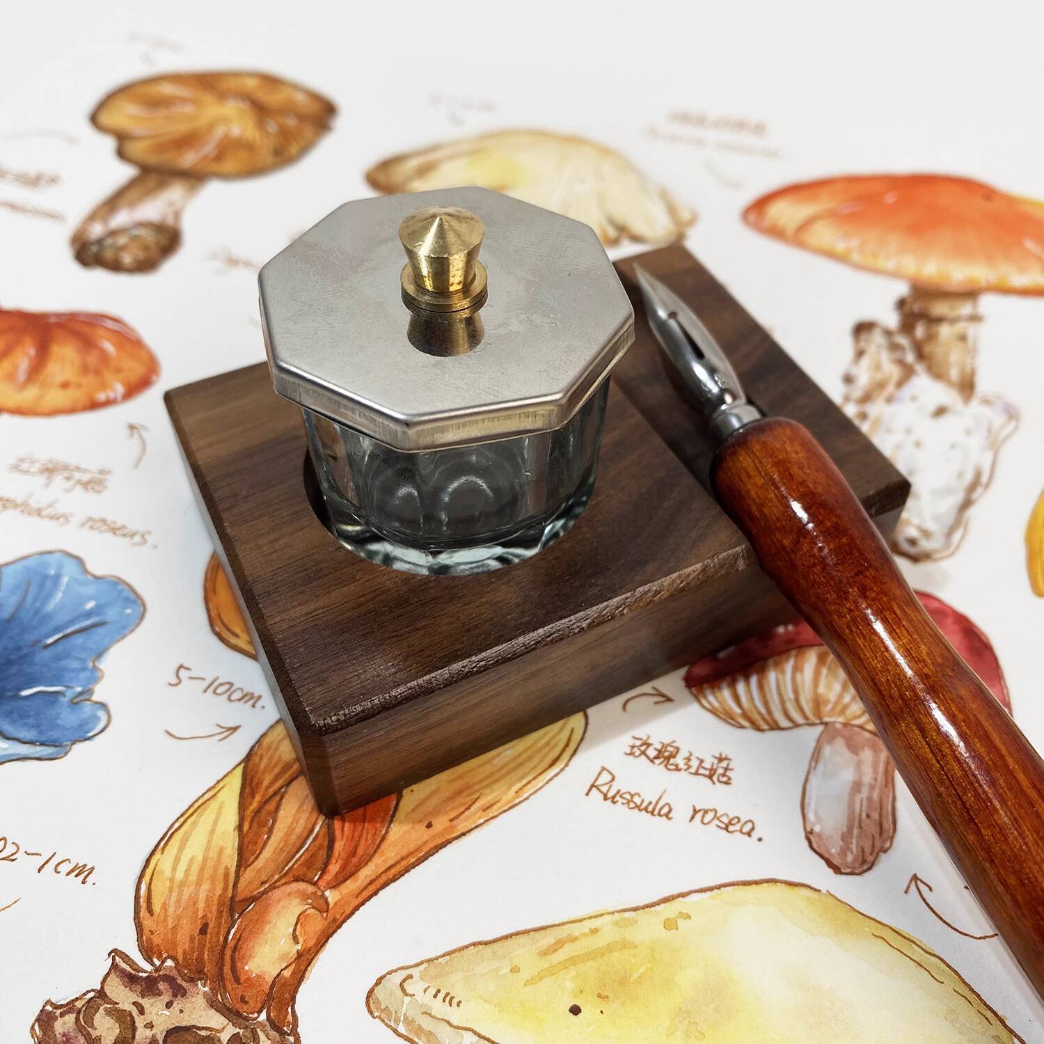 Base de tinta caneta resto sup - Calligraphy Ink Bottle avaliação e preço